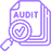 audit